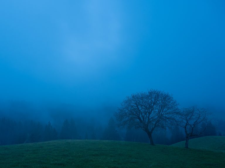 Erwachen im Emmental Claudia von Arx Fotografie