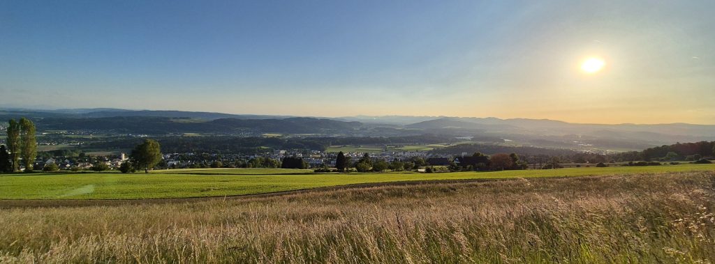 Lebenskraft und Verbindung – Juli