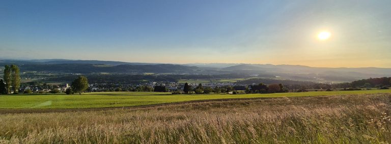 Lebenskraft und Verbindung – Juli